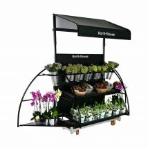 Presentation display for flowers xl